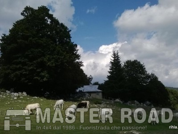 06 apr - Gita occasionale con il capitano