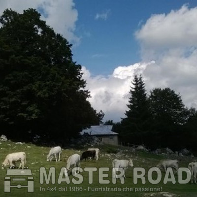 06 apr - Gita occasionale con il capitano