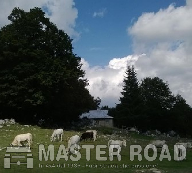 06 apr - Gita occasionale con il capitano