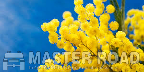 8 mar - 21° Master Girl - oggi tra le Fonti