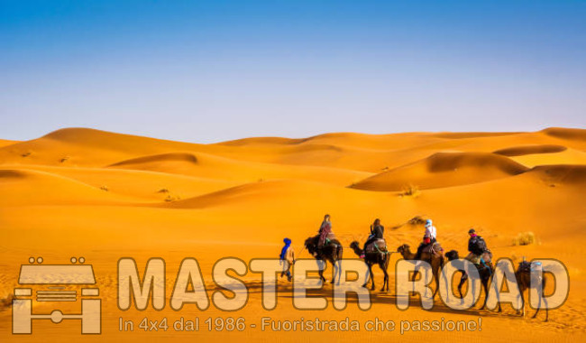 Serata conviviale: weekend e capodanno 2025