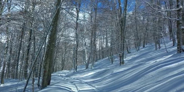 Alla ricerca delle neve!!!