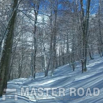 Alla ricerca delle neve!!!