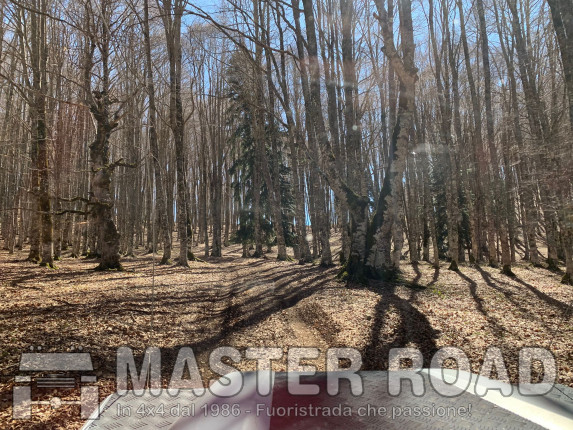 Il Capitano e Lucianetto a Pasquetta