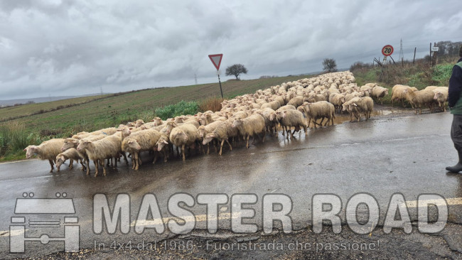 La prima dell'anno ...Grotta Porcina