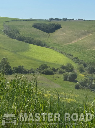 Le saline di Volterra 05